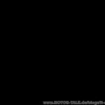 Dsc01058