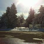 Img-0137