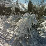 Img-0143