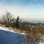 Img-0150