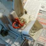 Bild-21