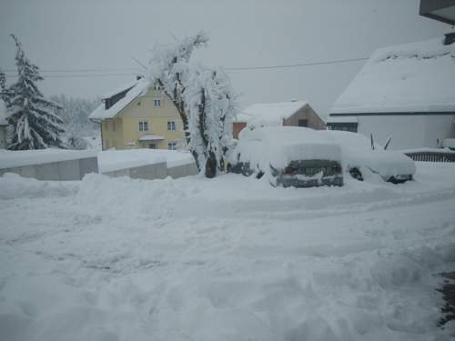 Img-20231202