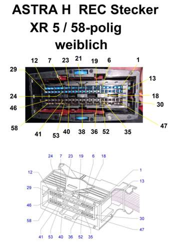 REC-Stecker XR 5 BLAU weiblich