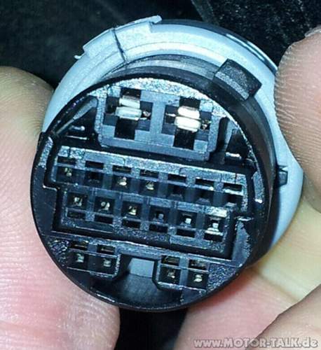Türstecker hinten weiblich