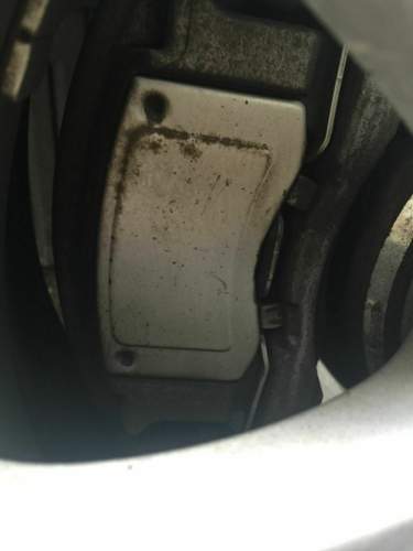 Img-1585