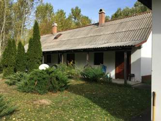 Mitten im Wald in der ungarischen Puszta