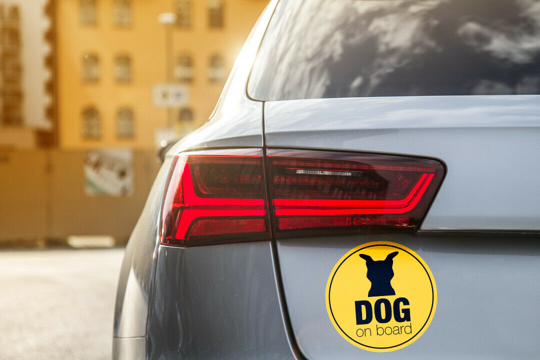 Hund im Auto: Darauf müsst Ihr achten