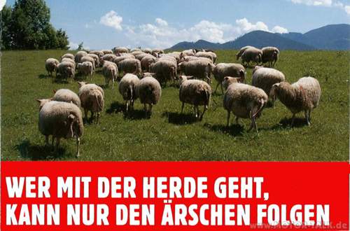 Weisheit-des-tages