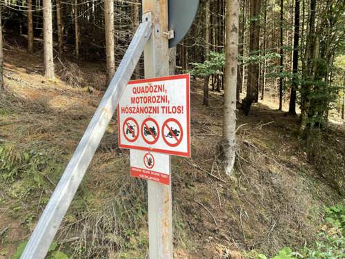 Schild