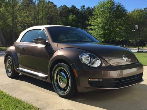 Beetle
