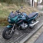 Bild-f