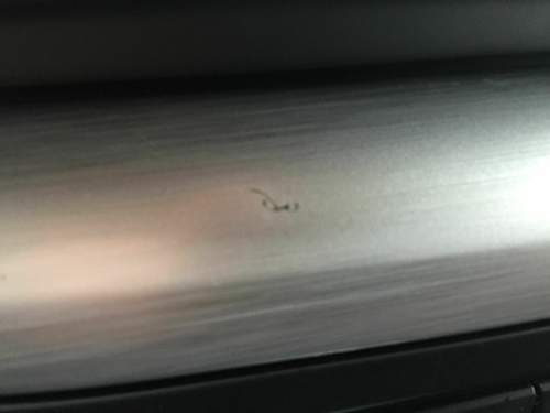 Img-3710