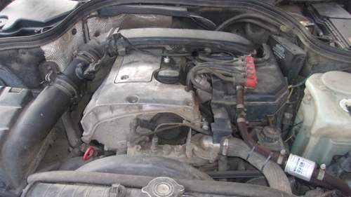 Motor