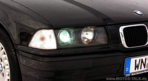 Top-xenon-beif
