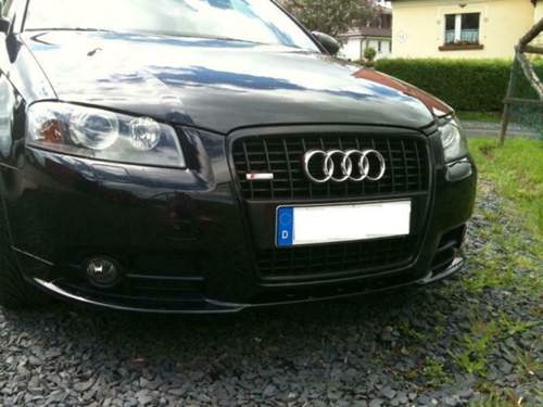 Fotoaudi1