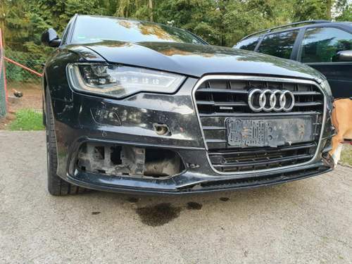 Audi Wildschaden