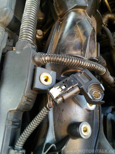 Stecker