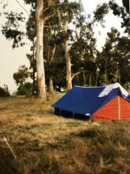 Img-5711