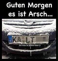 Kalt