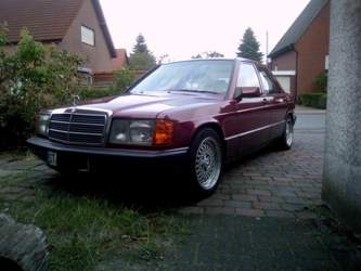 W201