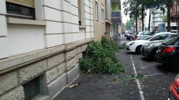 Img-20190807-194552-618