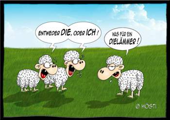 Vs-dielaemmer