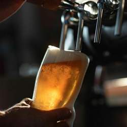 Bier