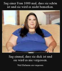 80e6bcc3be1108db612613479c889b4f