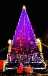 Rid-rekord-weihnachtsbaum-getraenkekisten-2018-jpg