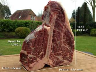Steak for Beginners