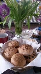 20140315_092901.jpg