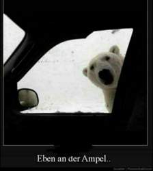 Ampel