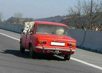 Ups