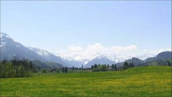 Loewenzahn