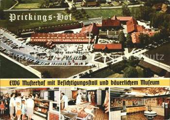 Sythen-prickingsh-hof-ewg-musterhof-fleischerei-kat-haltern-am-see