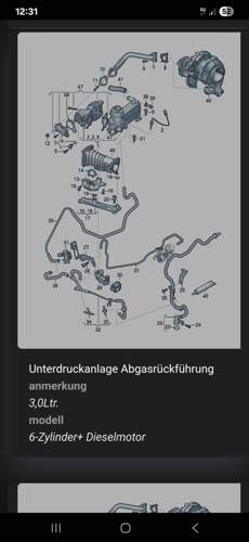 Expositionszeichnung