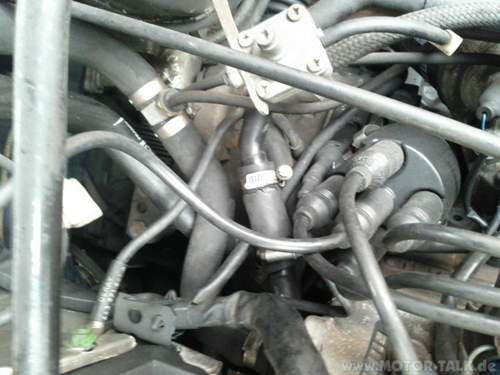Img-20130217-154252