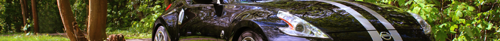 Header-nissansport