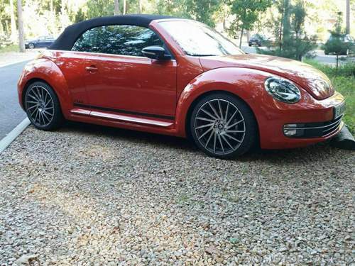 Bettle-mit-eibach-8-5x19