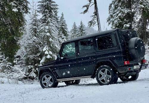 G im Schnee..jpg