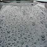 Sonax Premium Carnauba
