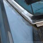 Img-6369