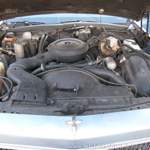 Img-6373