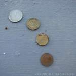 Img-6390
