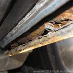 Img-6381