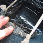 Img-6357