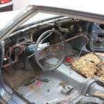 Img-6395