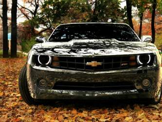 Reflections-of-autumn-leaves-on-chevrolet-camaro-silver-car-wallpaper