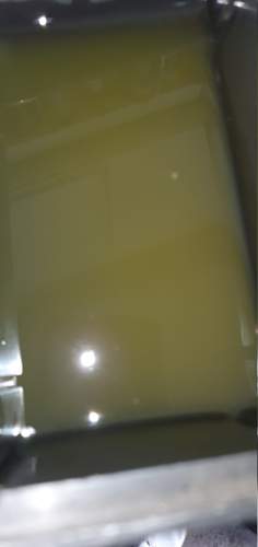 20230204_141827.jpg
