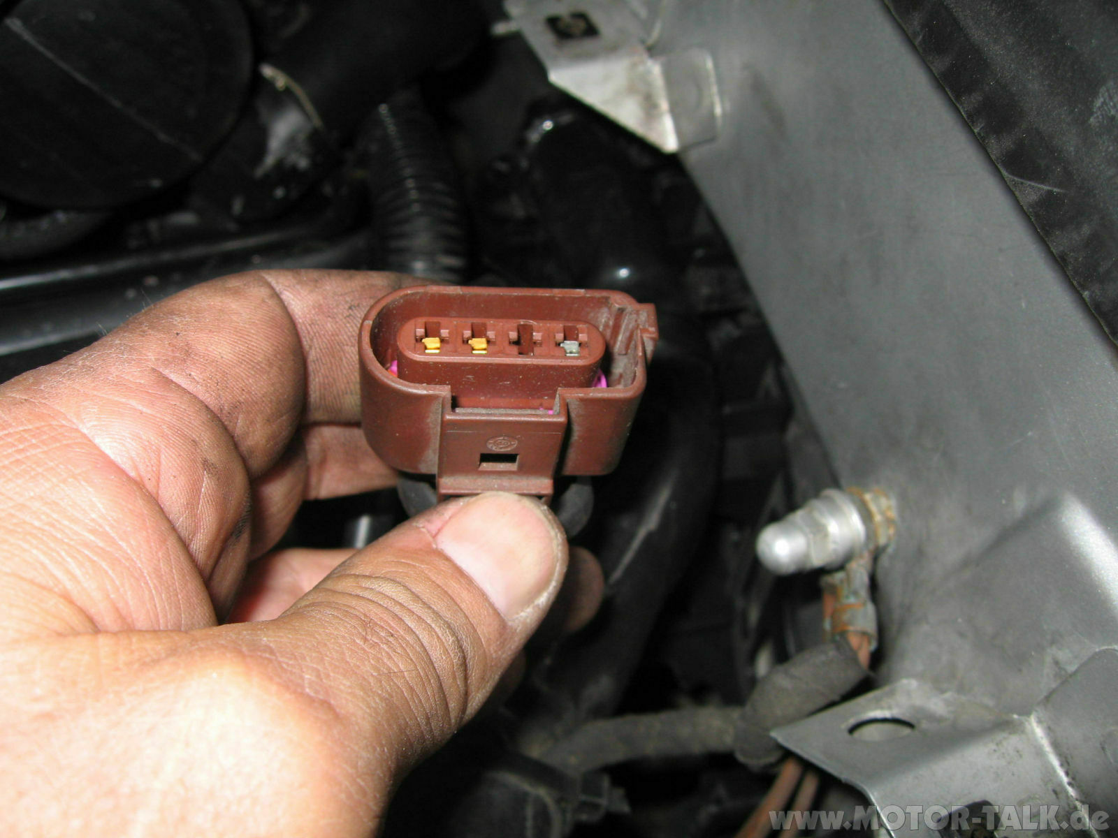 V6 TDI Nagelt auf rechter Bank
